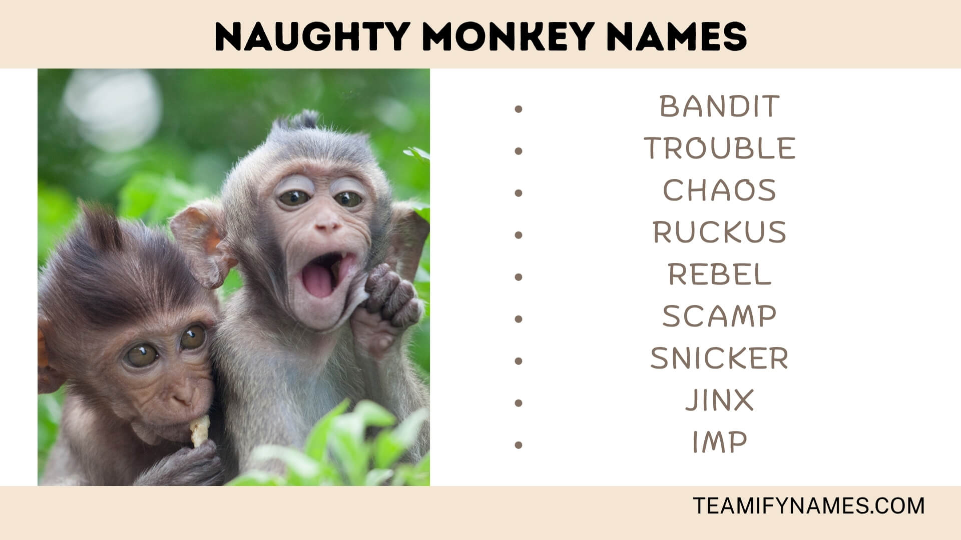Naughty Monkey Names