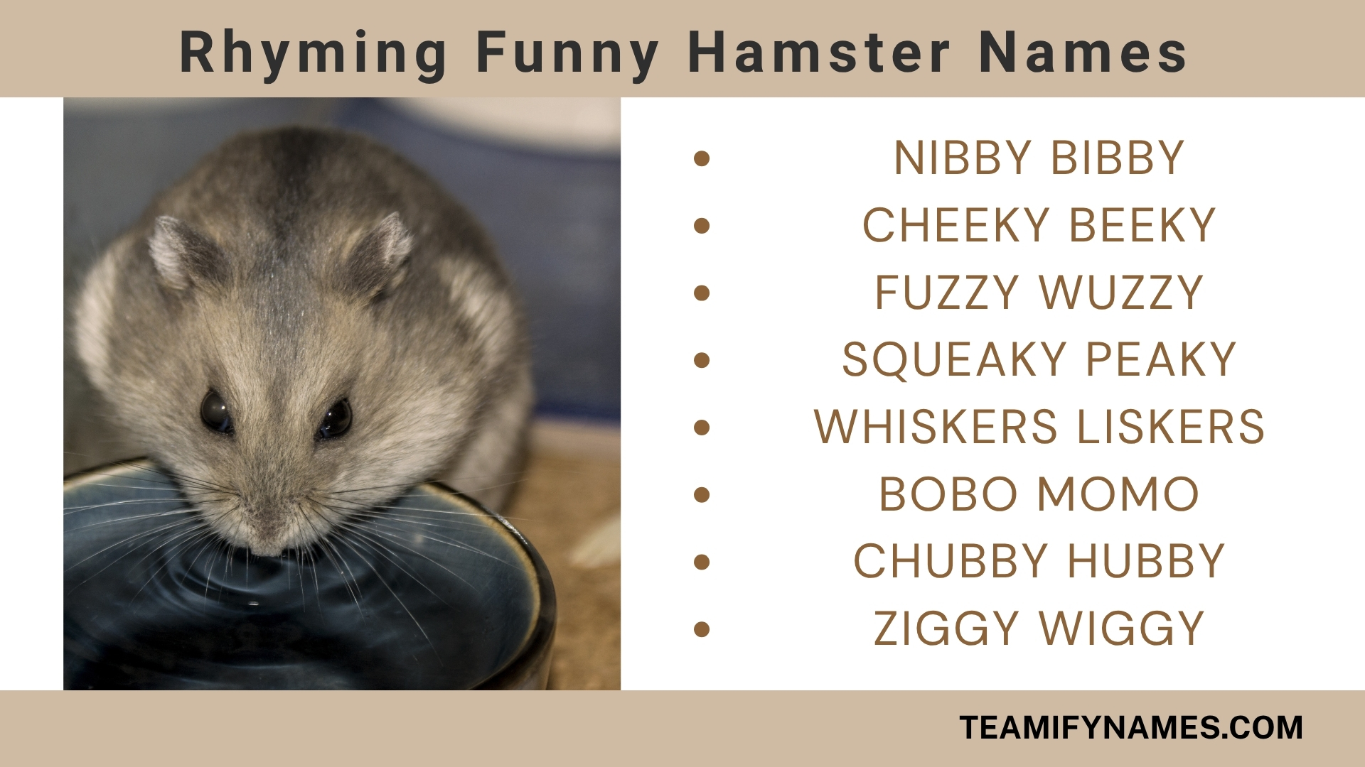 Rhyming Funny Hamster Names