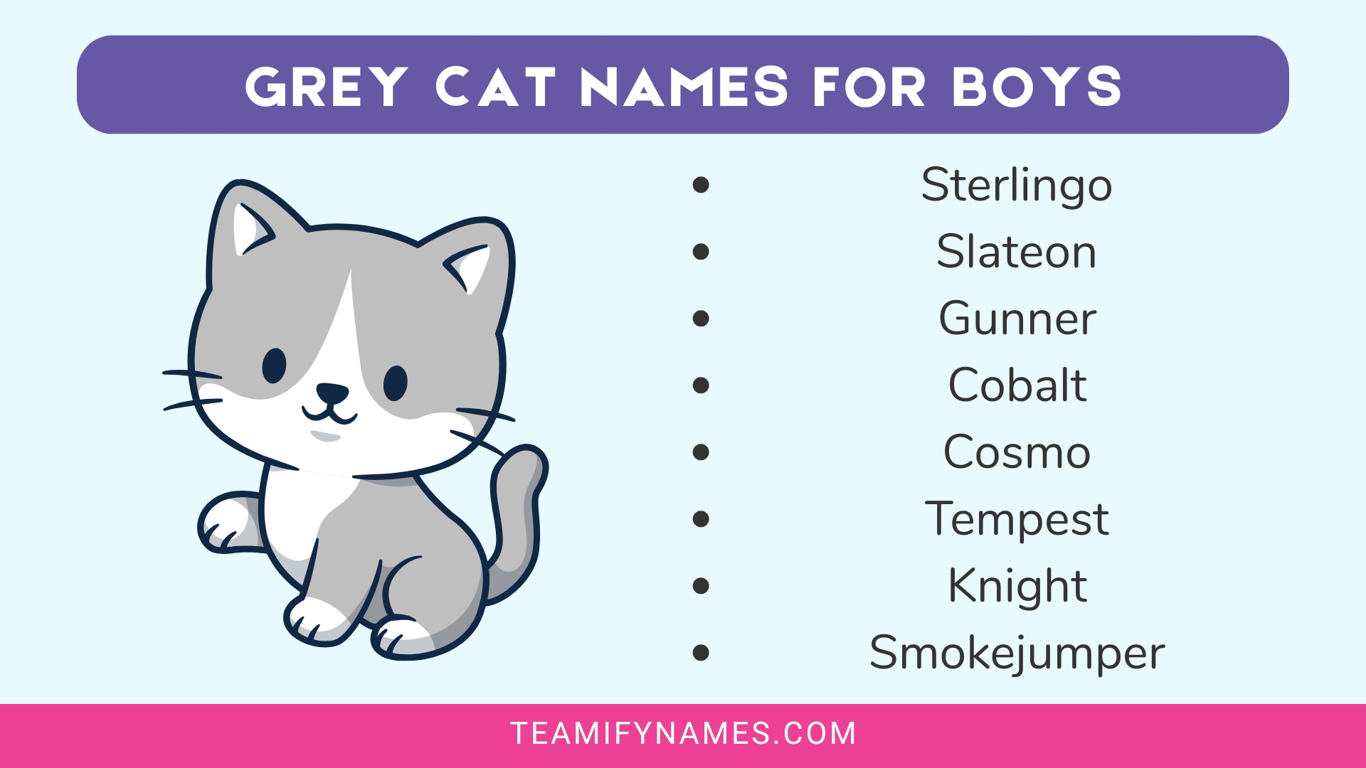 Grey Cat Names for Boys