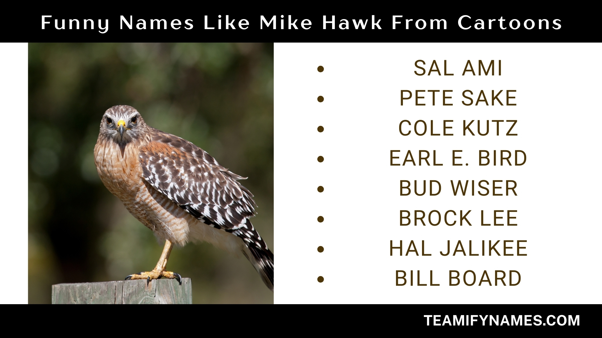 Funny Names Like Mike Hawk From Cartoons