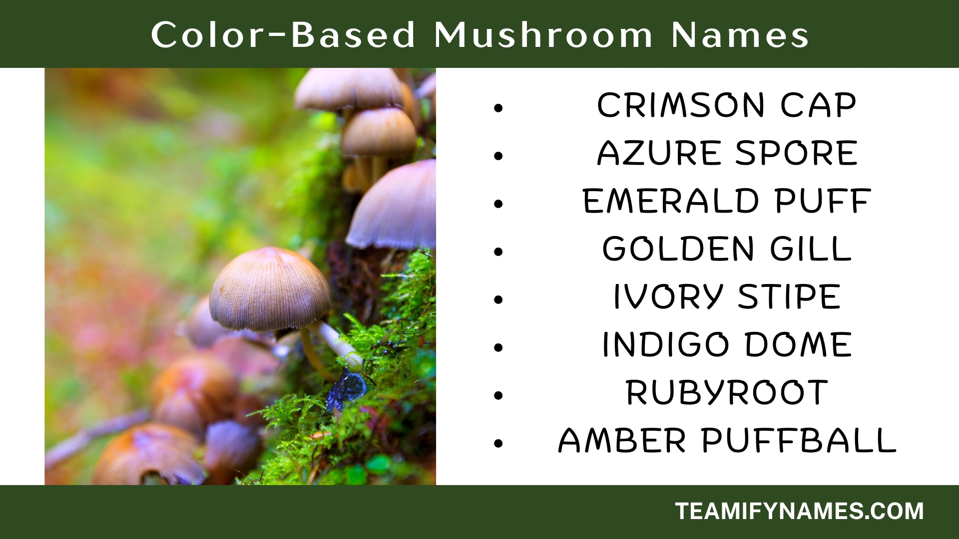Color-Based Mushroom Names