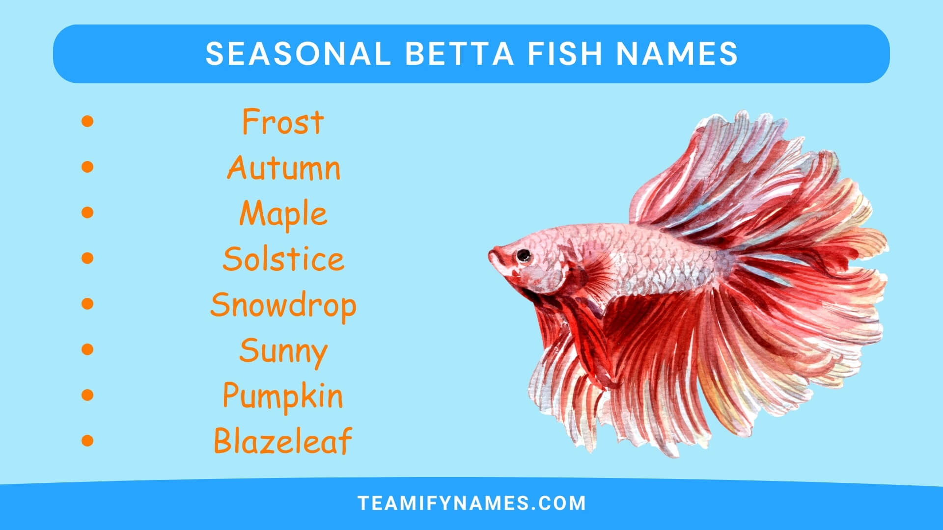 Seasonal Betta Fish Names