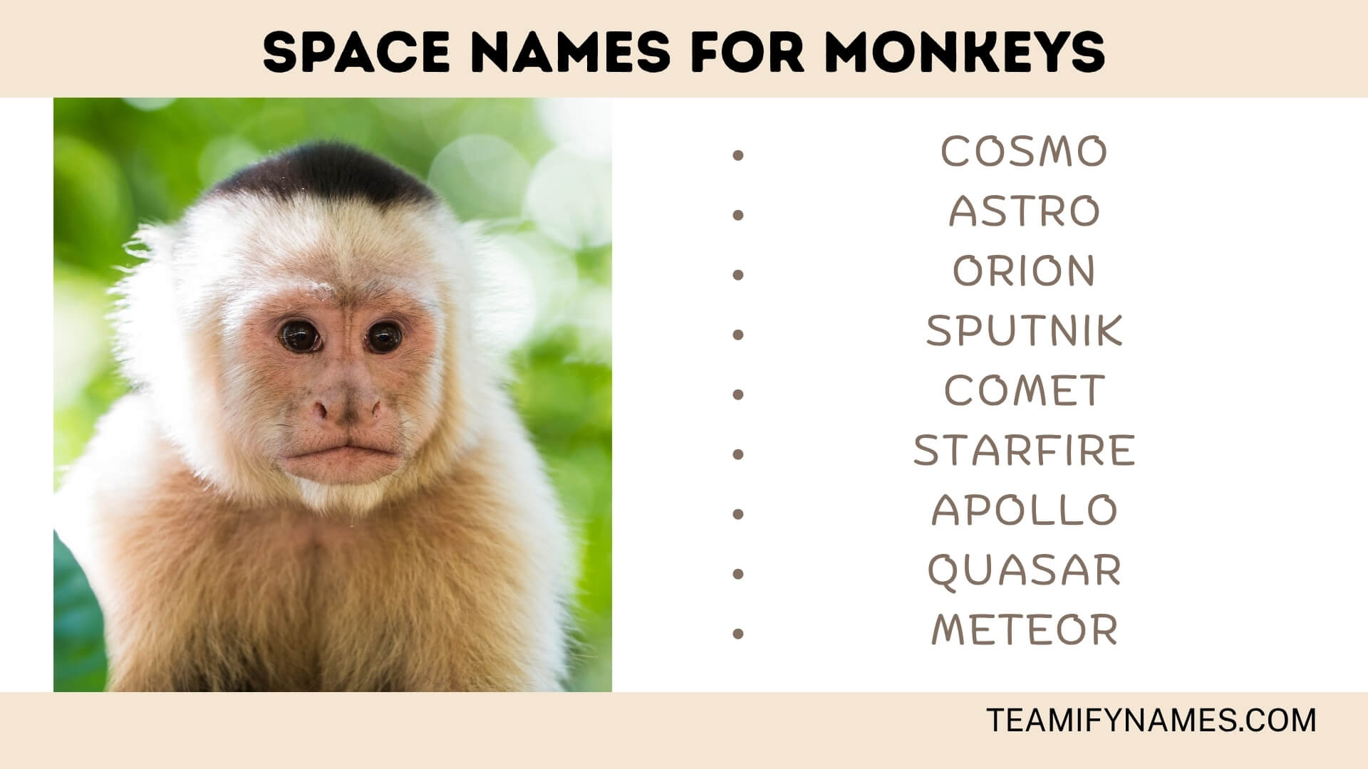 Space Names for Monkeys