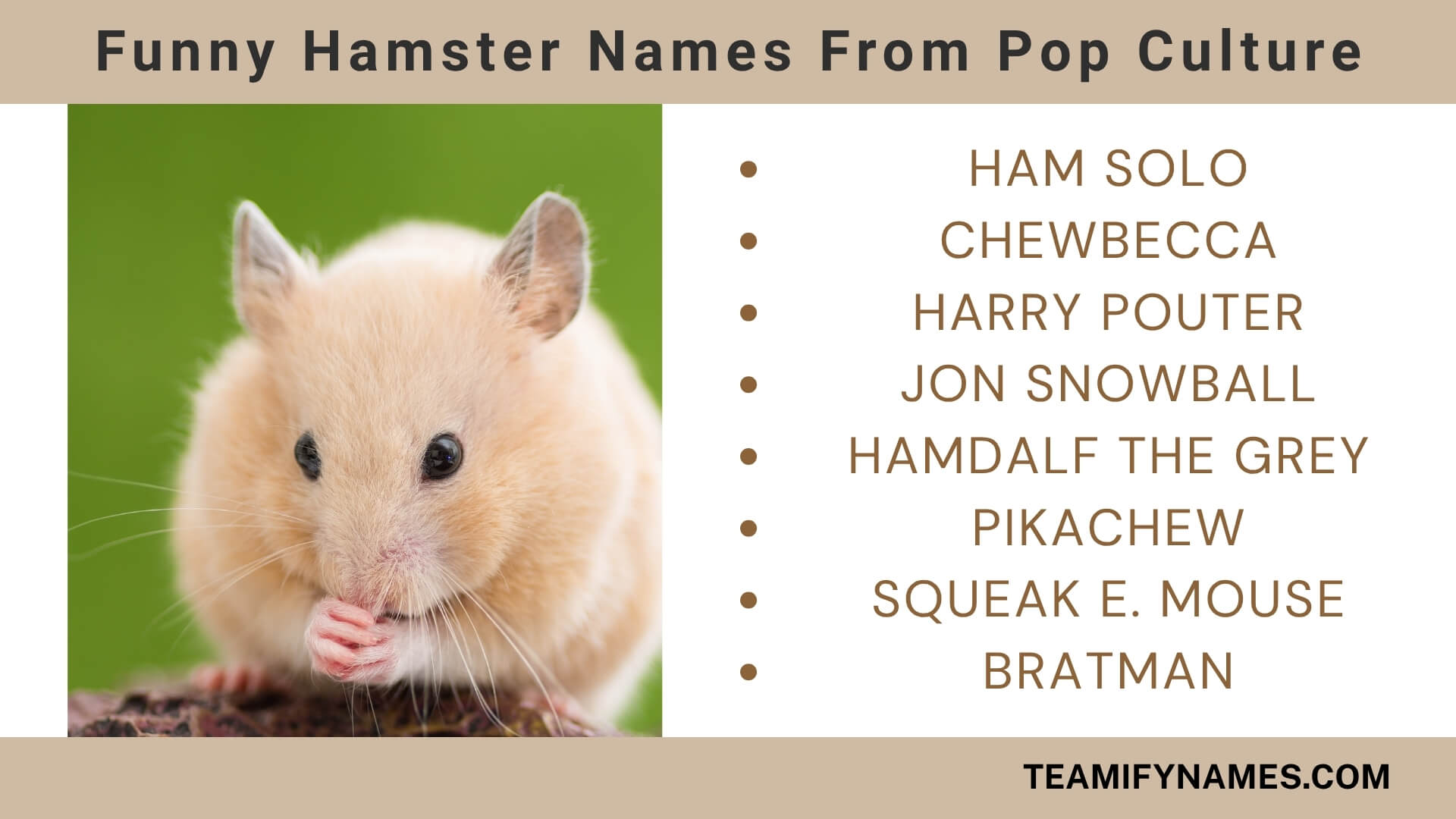 Funny Hamster Names From Pop Culture