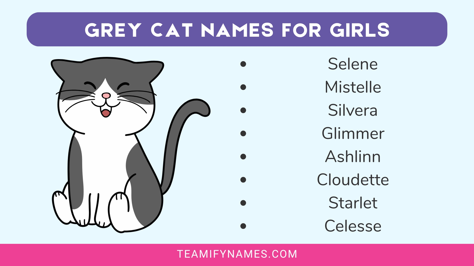 Grey Cat Names for Girls