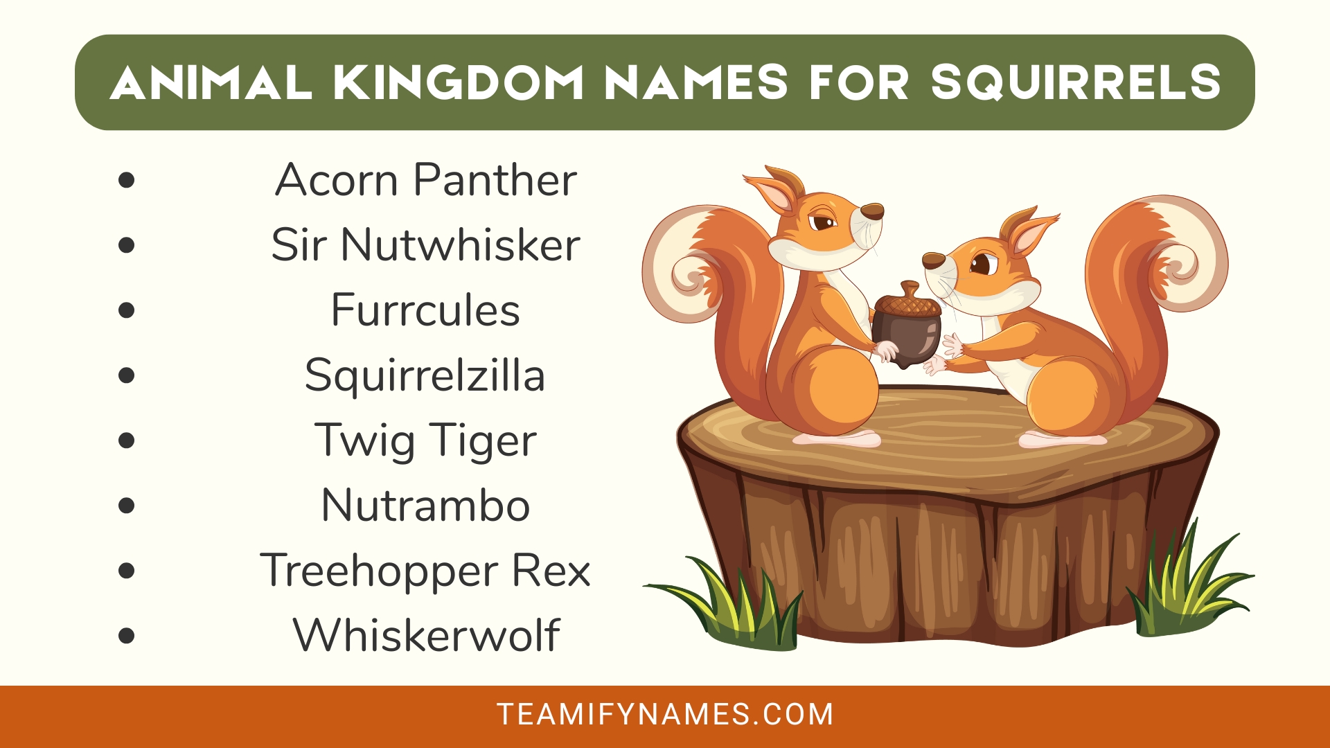 Animal Kingdom Names for Squirrels