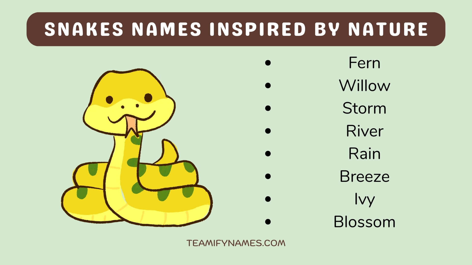 Snakes Names Inspired By Nature