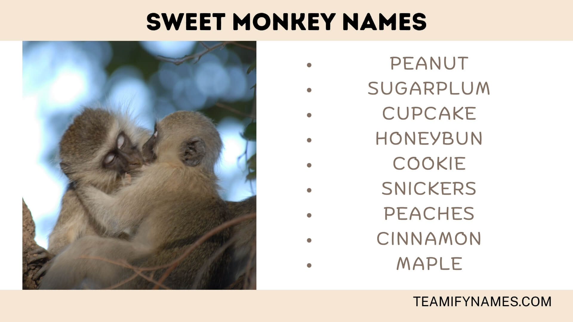 Sweet Monkey Names