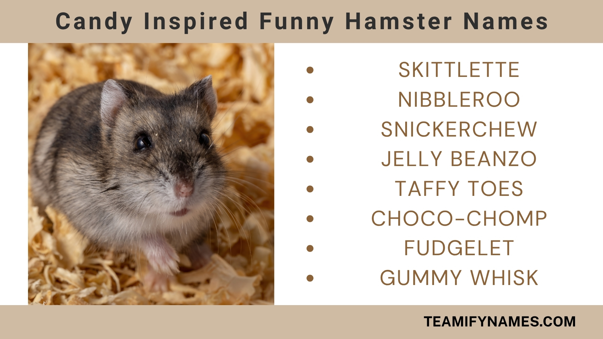 Candy Inspired Funny Hamster Names
