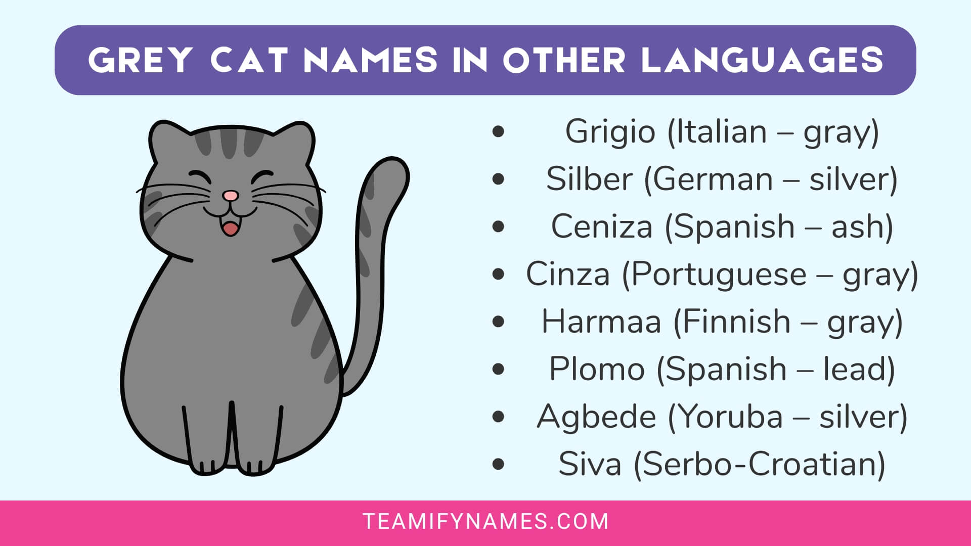 Grey Cat Names in Other Languages