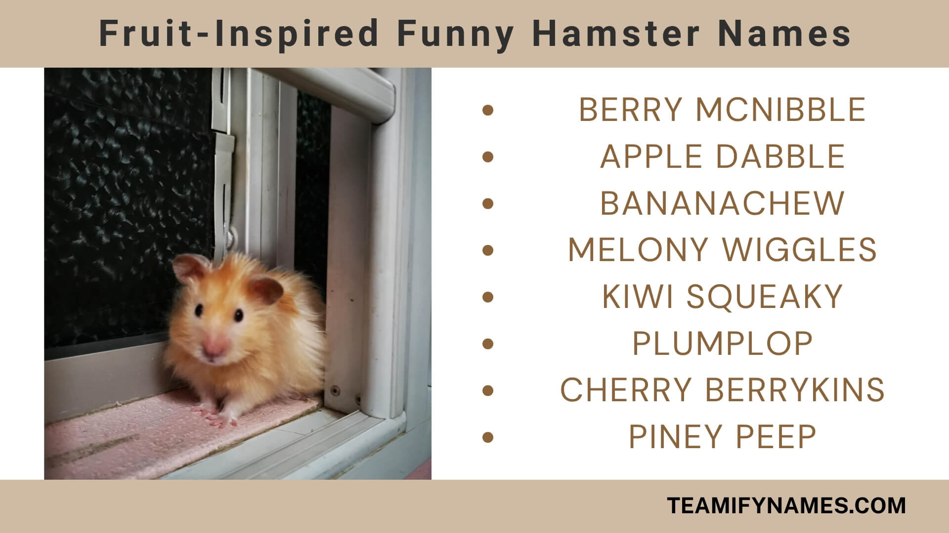 Fruit-Inspired Funny Hamster Names