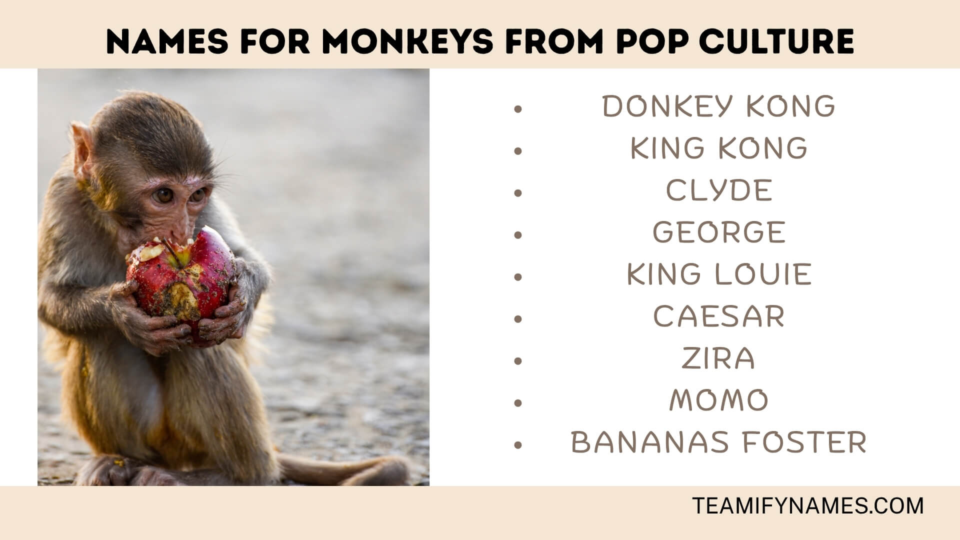Names For Monkeys From Pop Culture