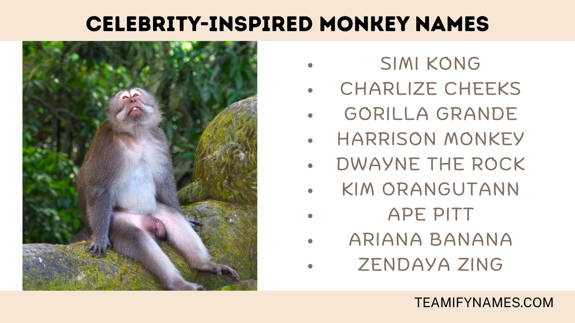 Celebrity-Inspired Monkey Names