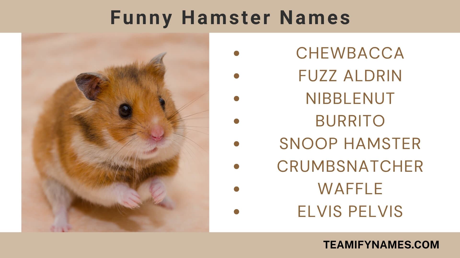 Funny Hamster Names