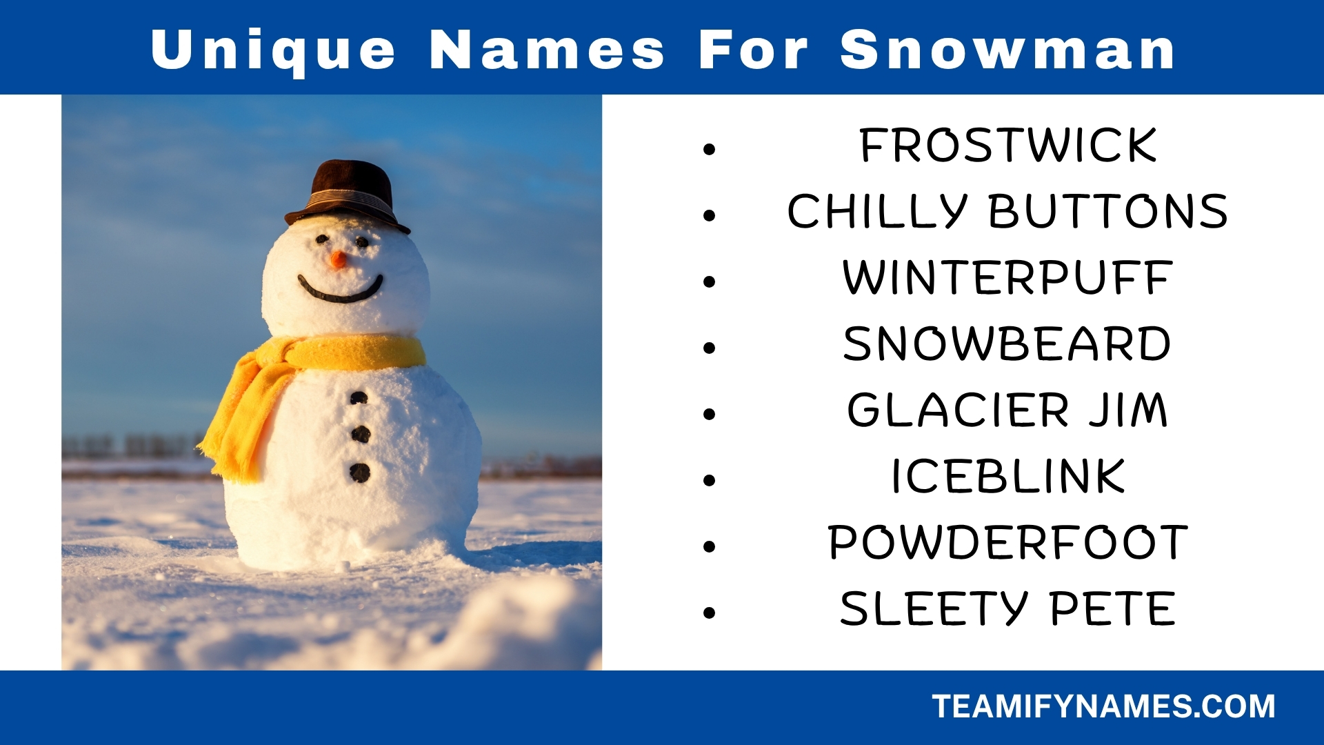 Unique Names For Snowman