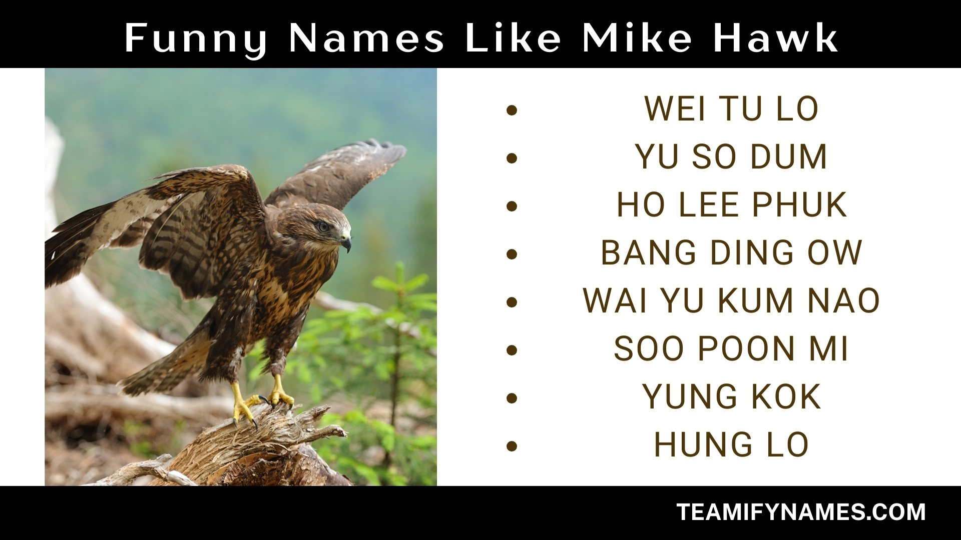 Funny Names Like Mike Hawk