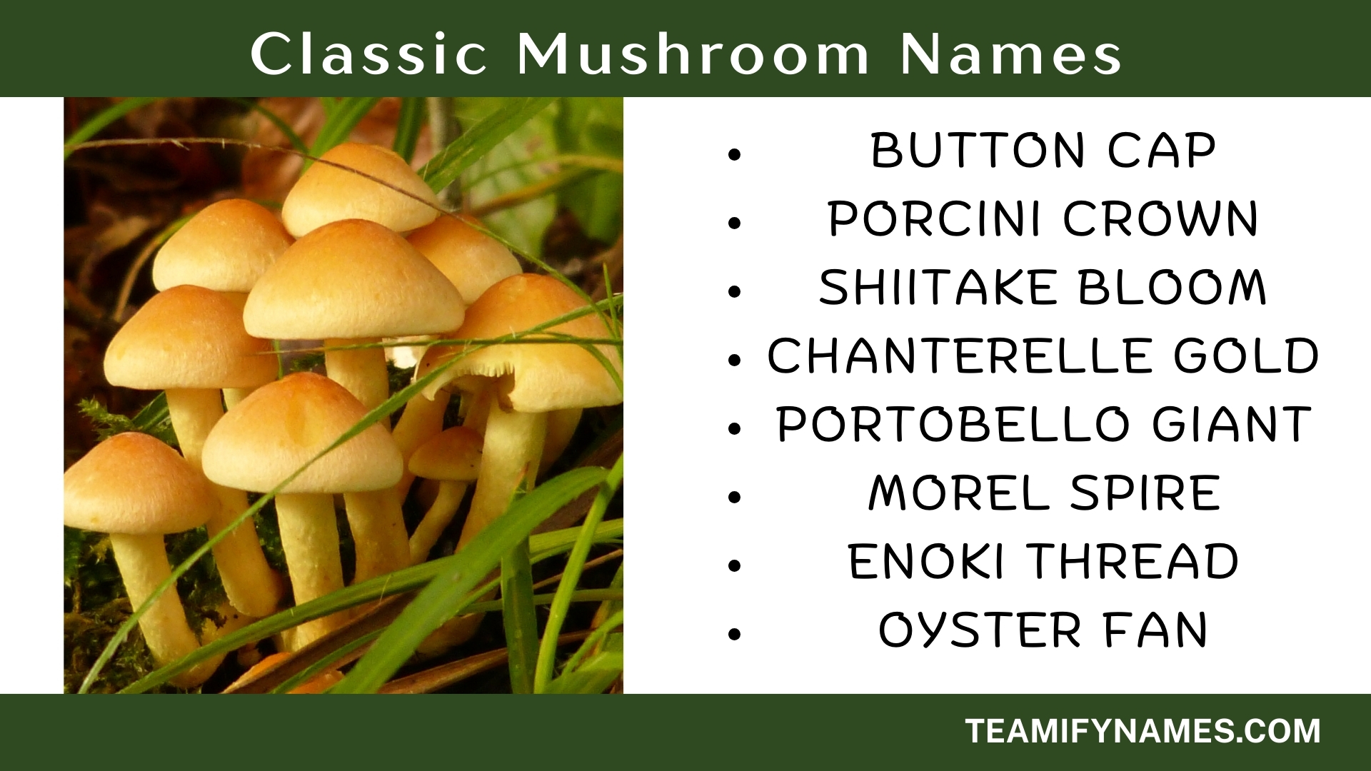 Classic Mushroom Names