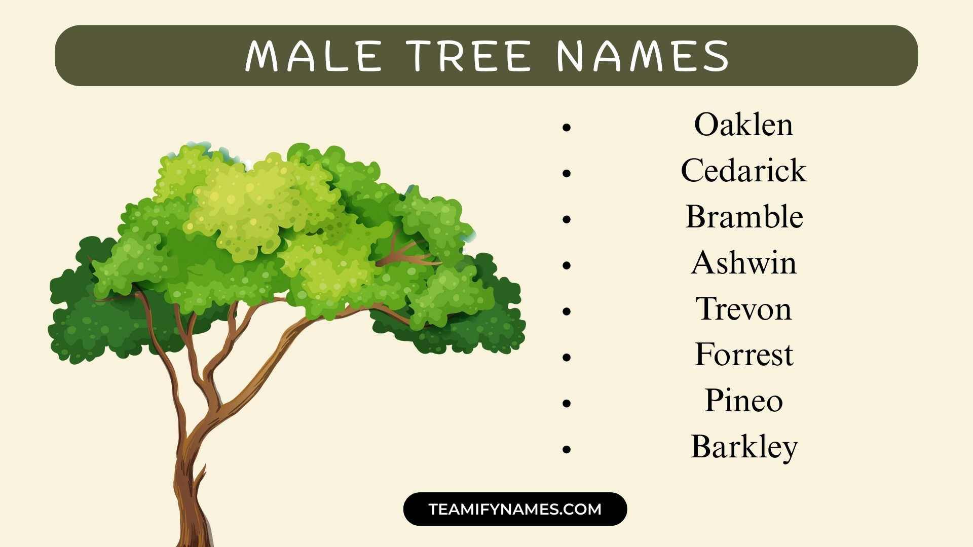 Male Tree Names