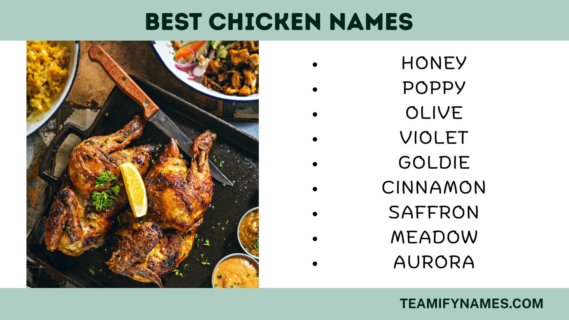 Best Chicken Names