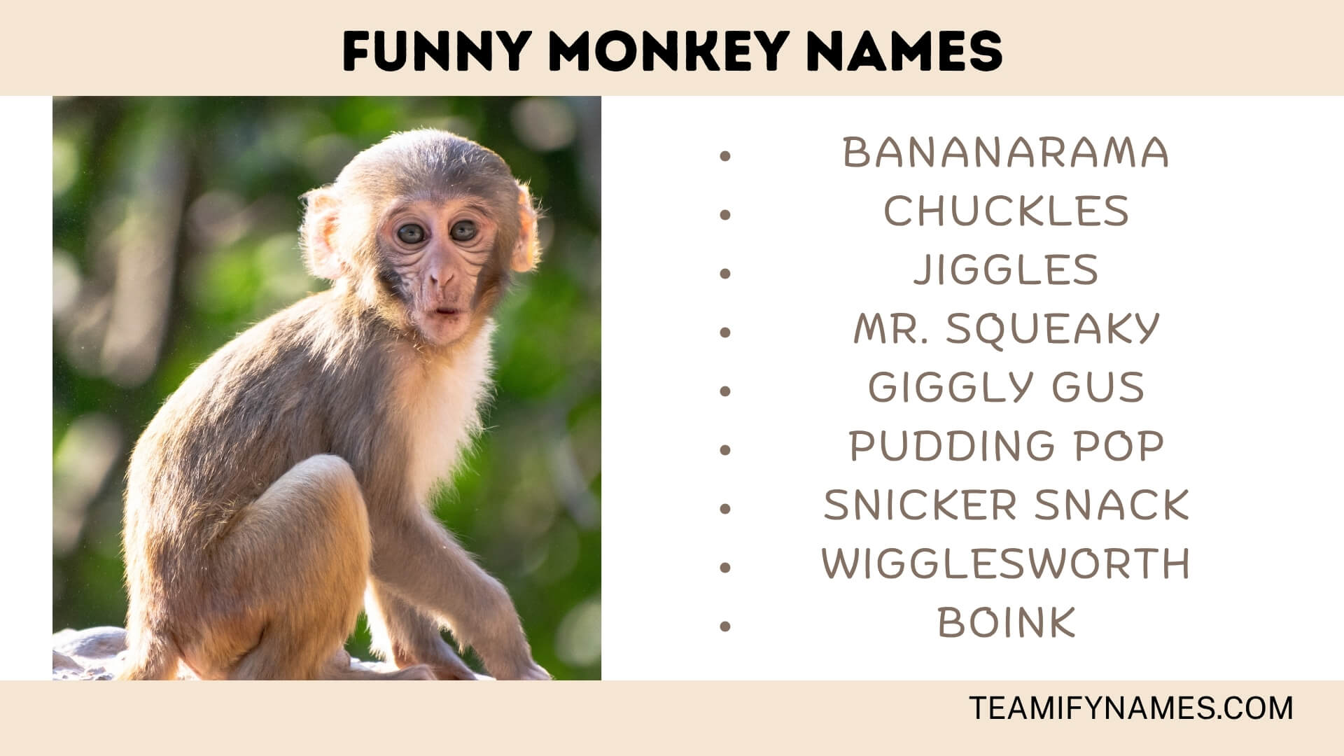 Funny Monkey Names