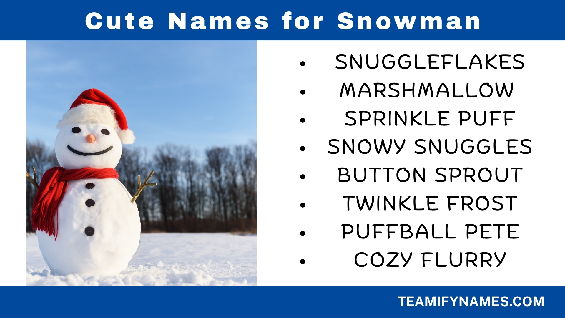 Cute Names for Snowman