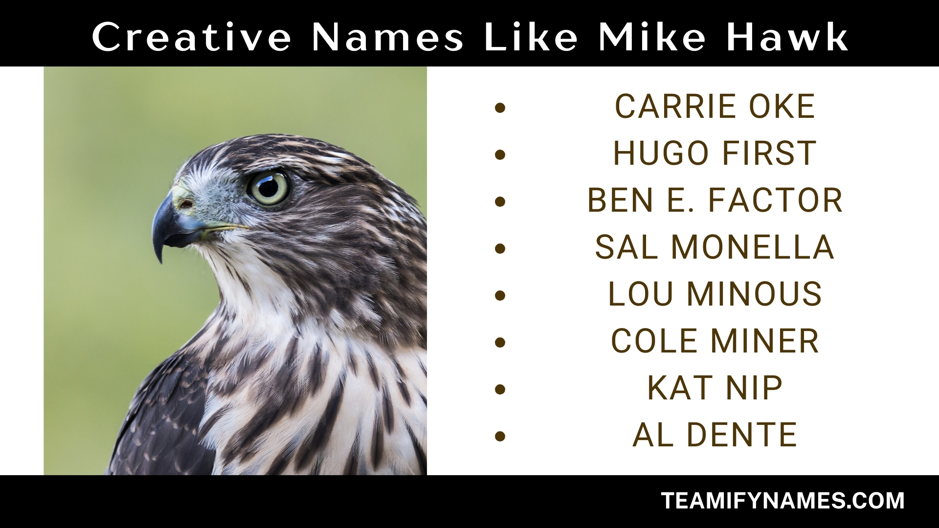 Creative Names Like Mike Hawk