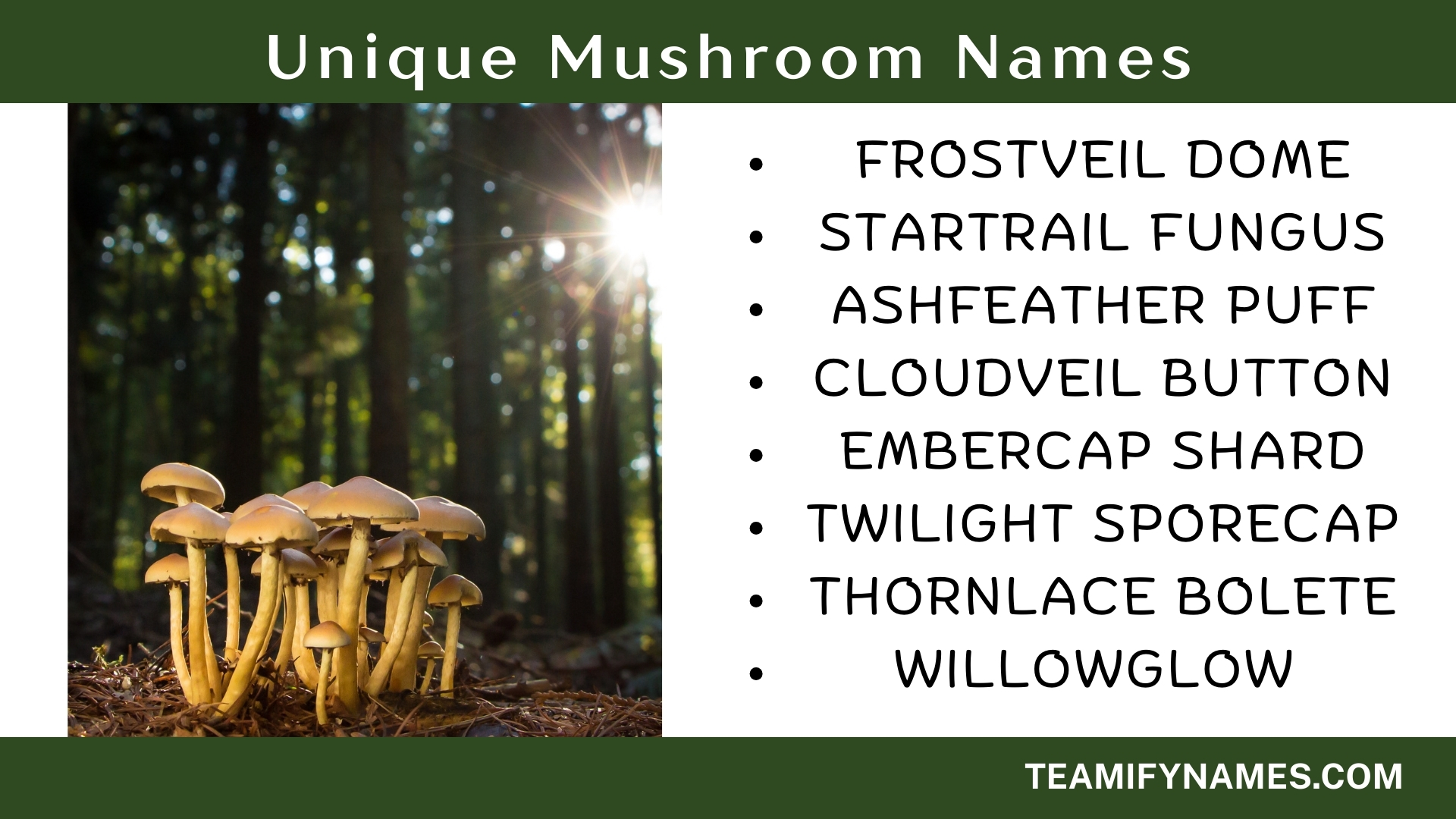 Unique Mushroom Names