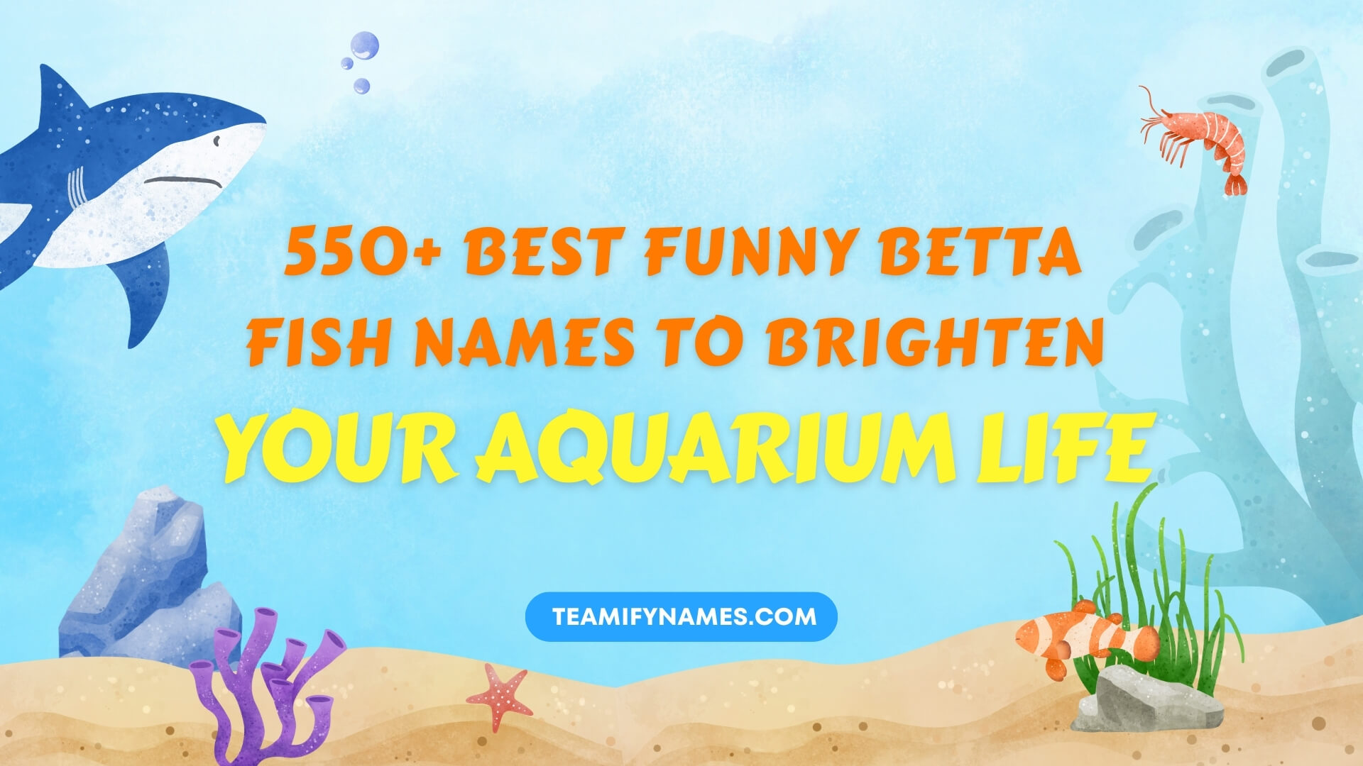 550+ Best Funny Betta Fish Names to Brighten Your Aquarium Life