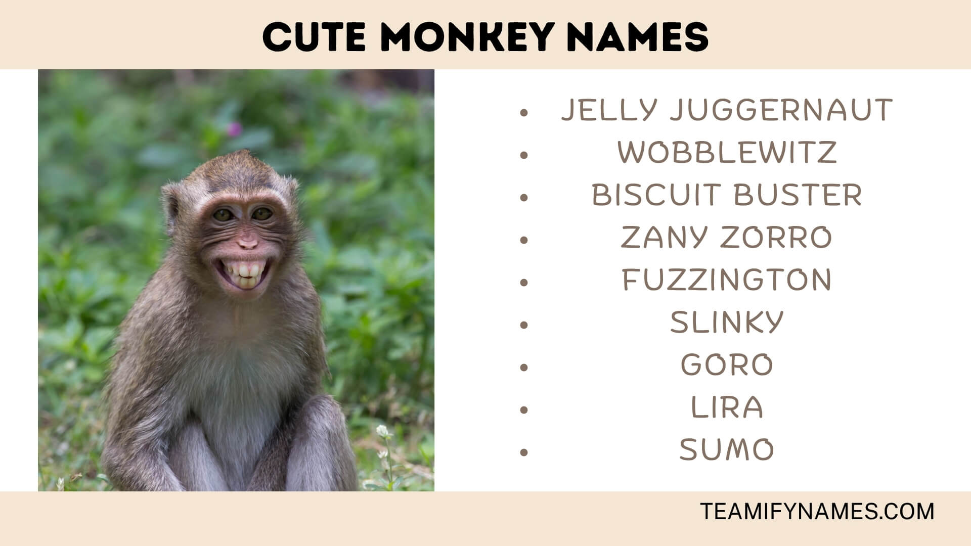 Cute Monkey Names