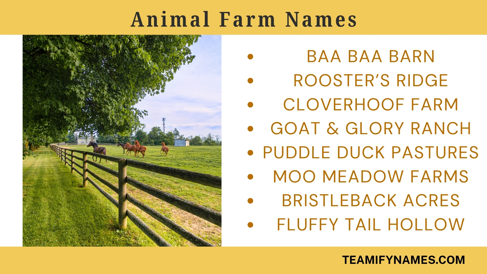 Animal Farm Names