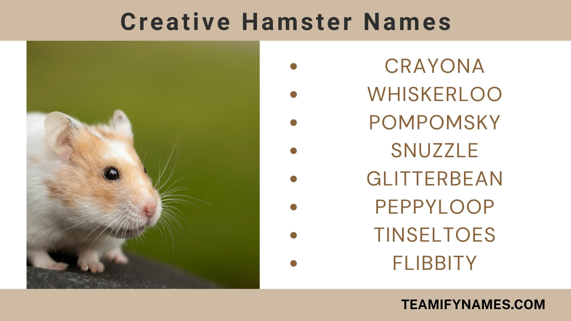 Creative Hamster Names