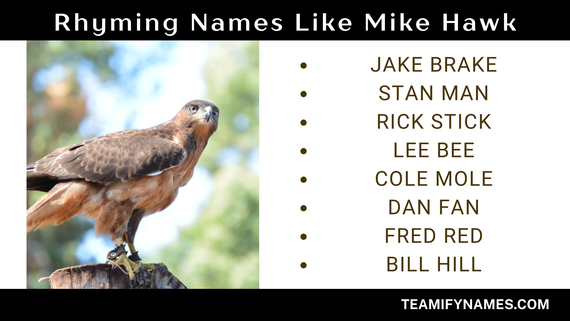 Rhyming Names Like Mike Hawk
