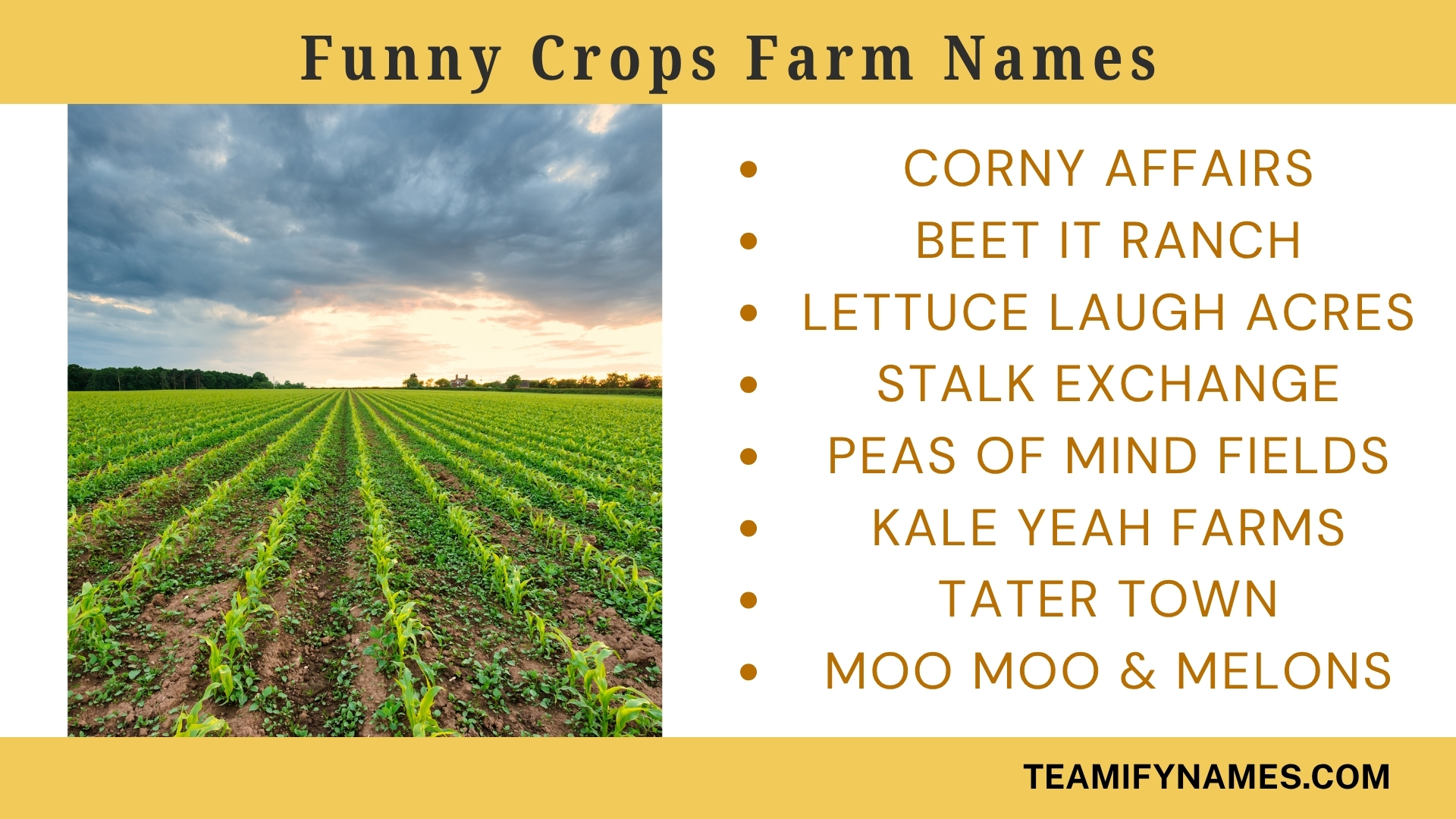 Funny Crops Farm Names