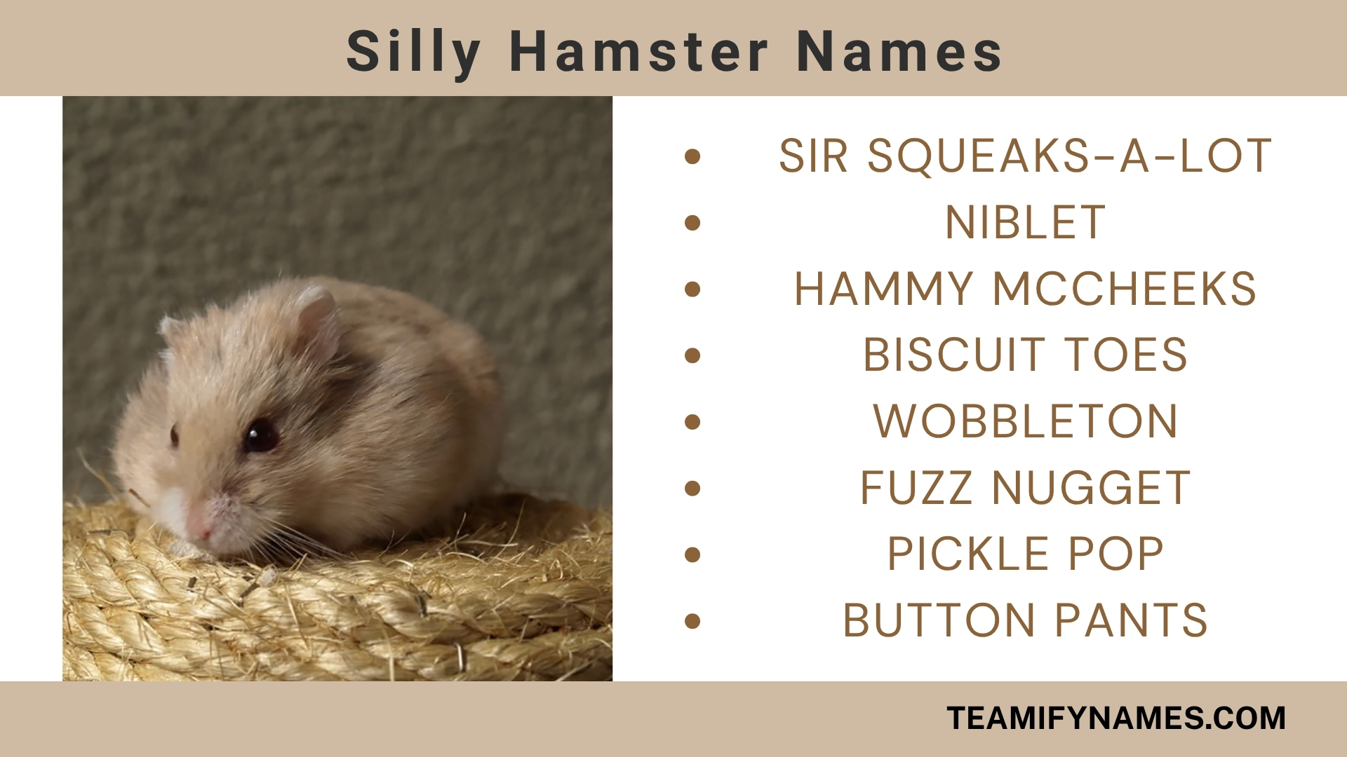 Silly Hamster Names