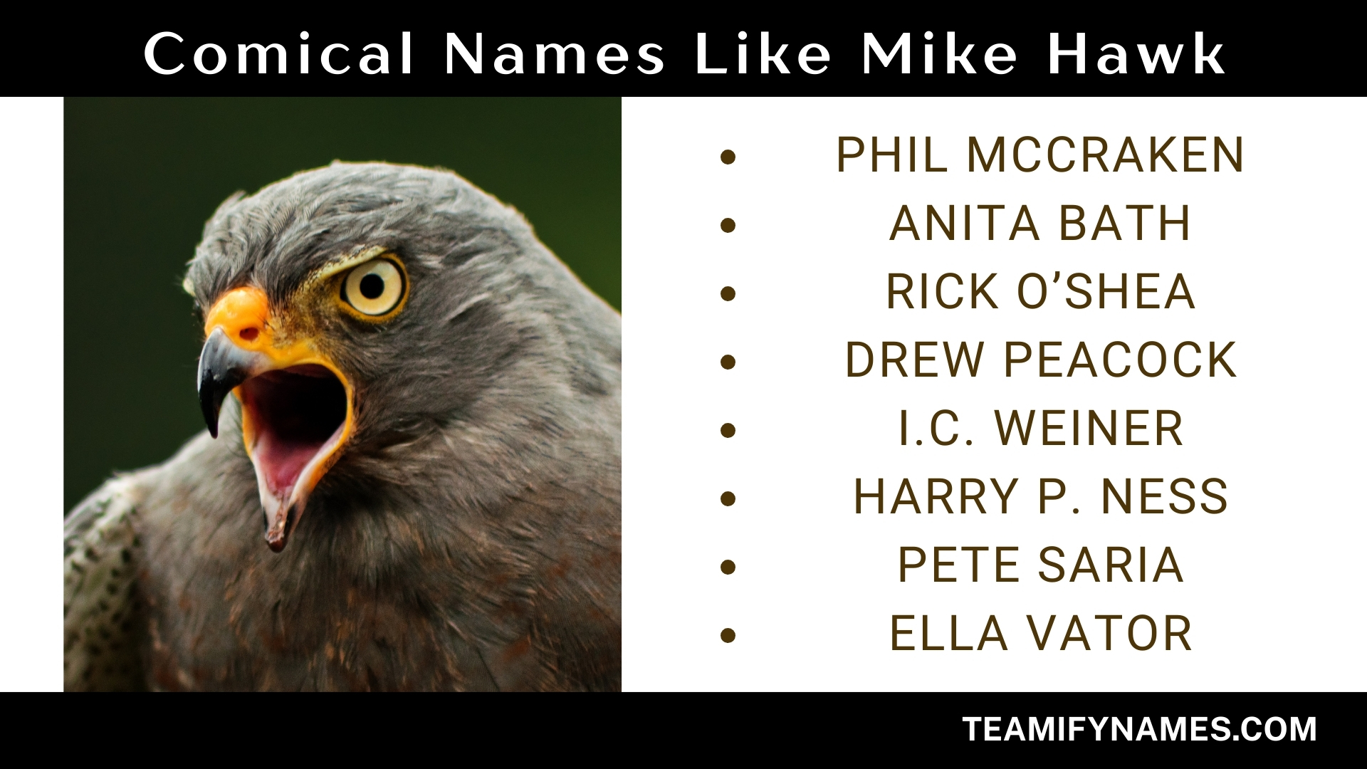 Comical Names Like Mike Hawk