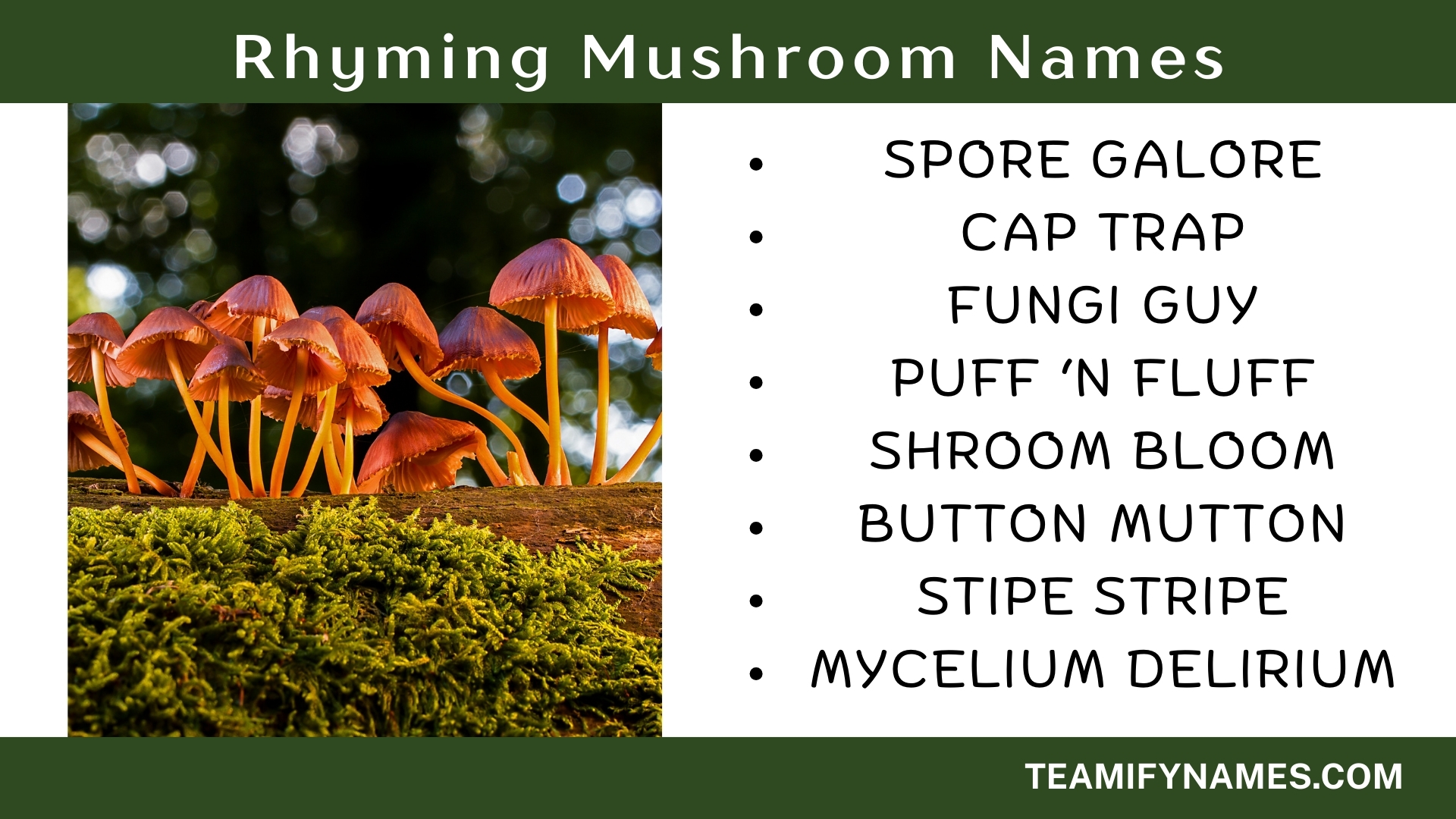 Rhyming Mushroom Names