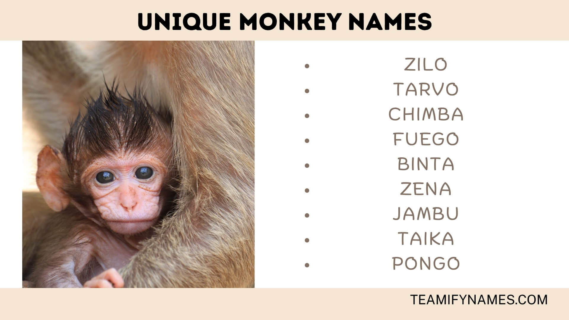 Unique Monkey Names
