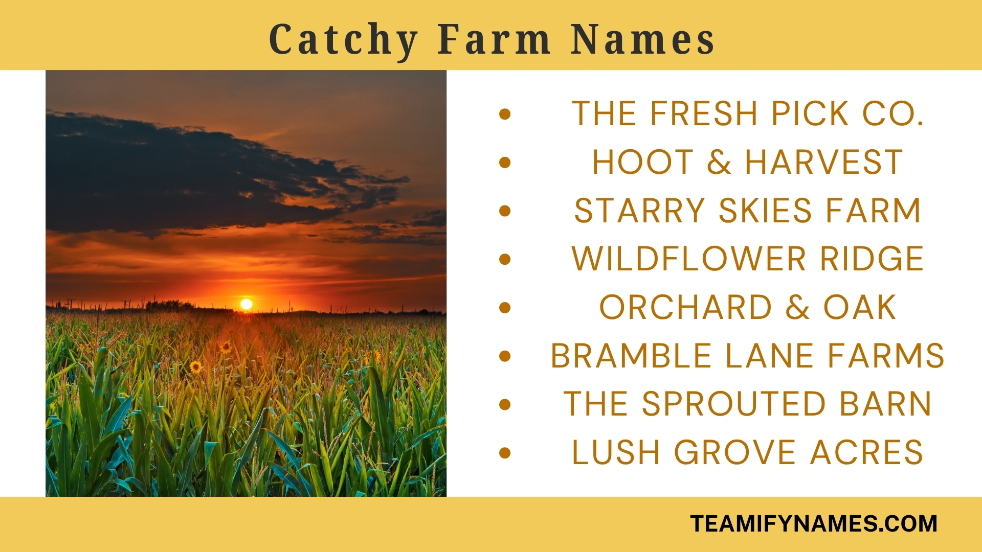 Catchy Farm Names