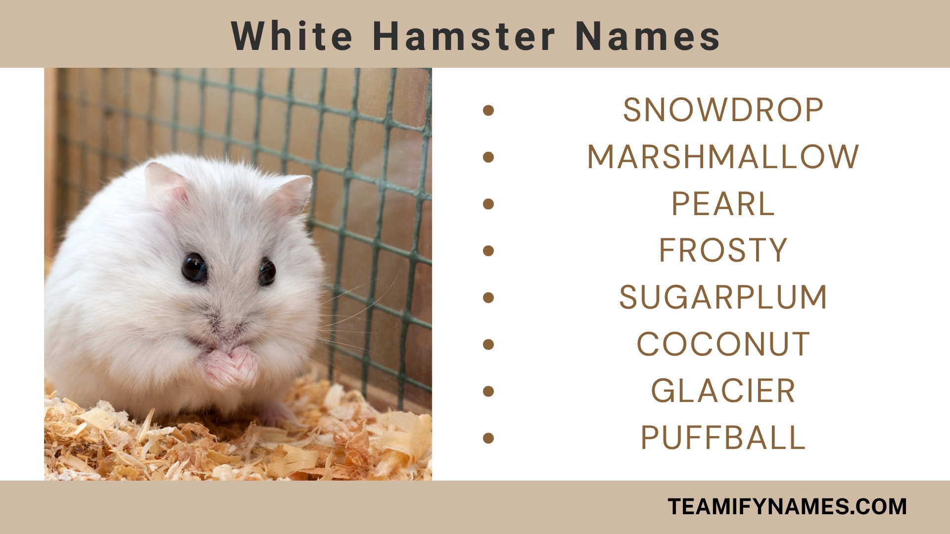 White Hamster Names