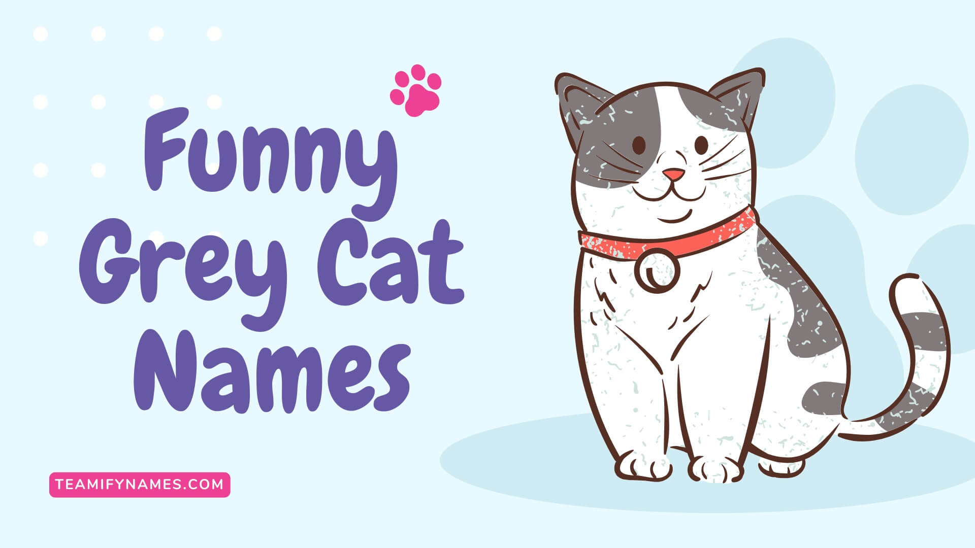 550+ Cute & Funny Grey Cat Names You’ll Love