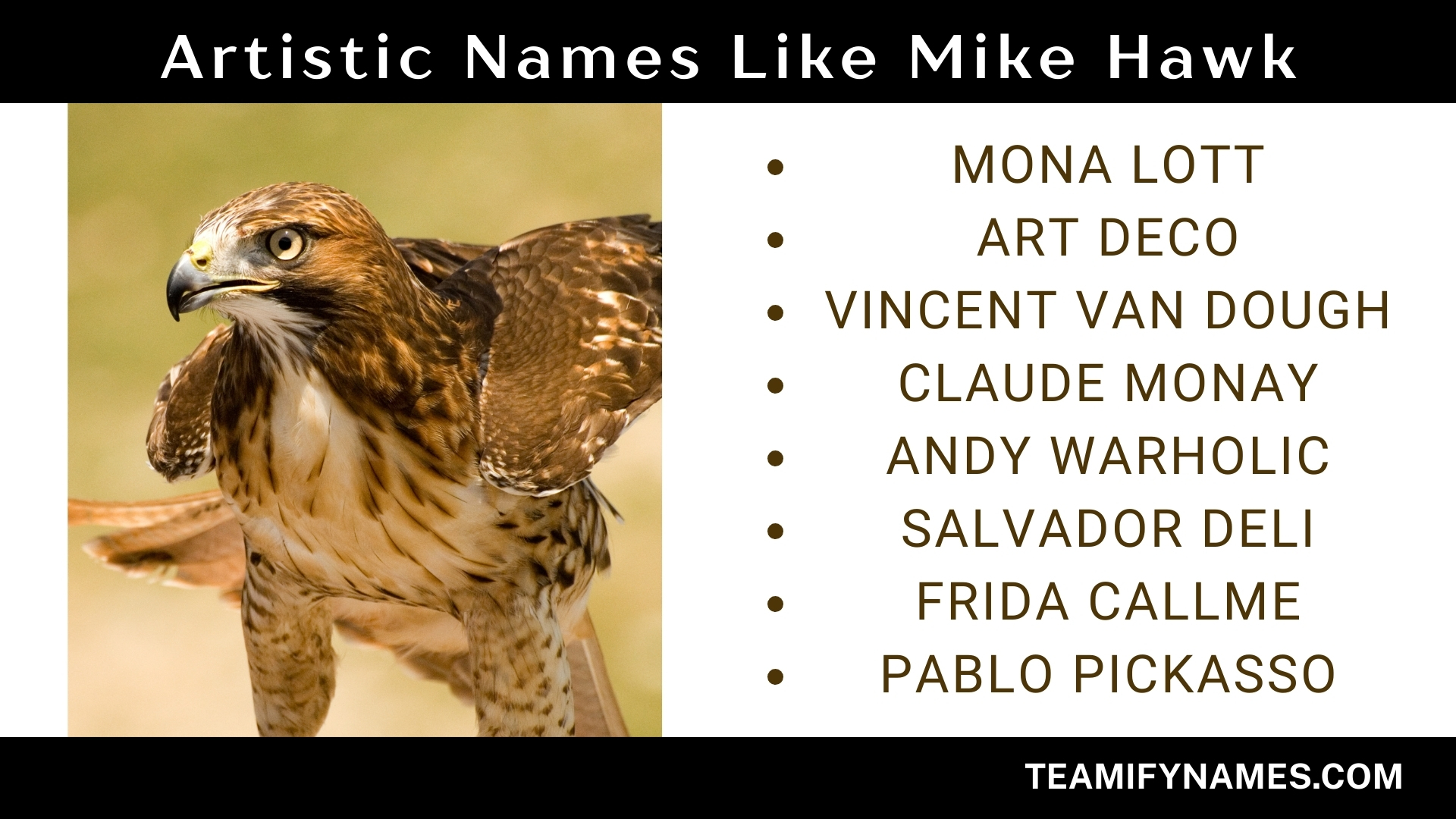 Artistic Names Like Mike Hawk