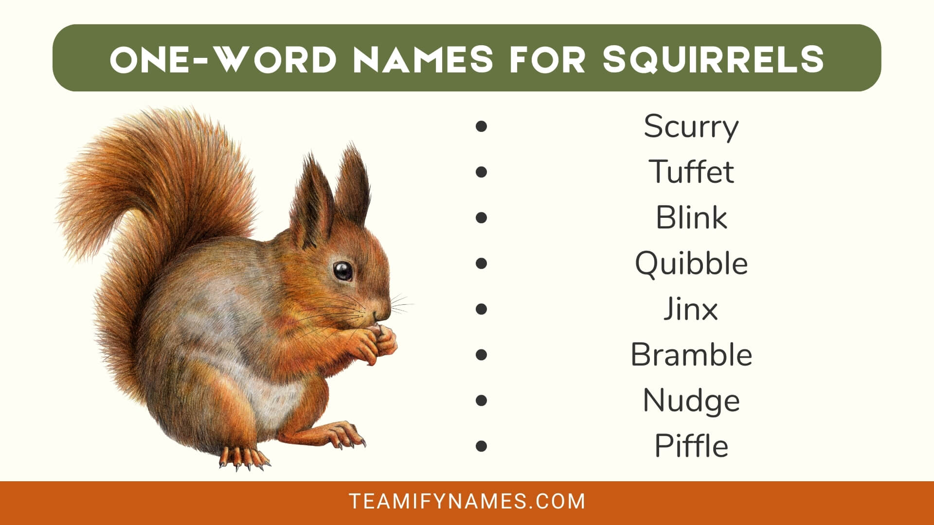 One-Word Names for Squirrels