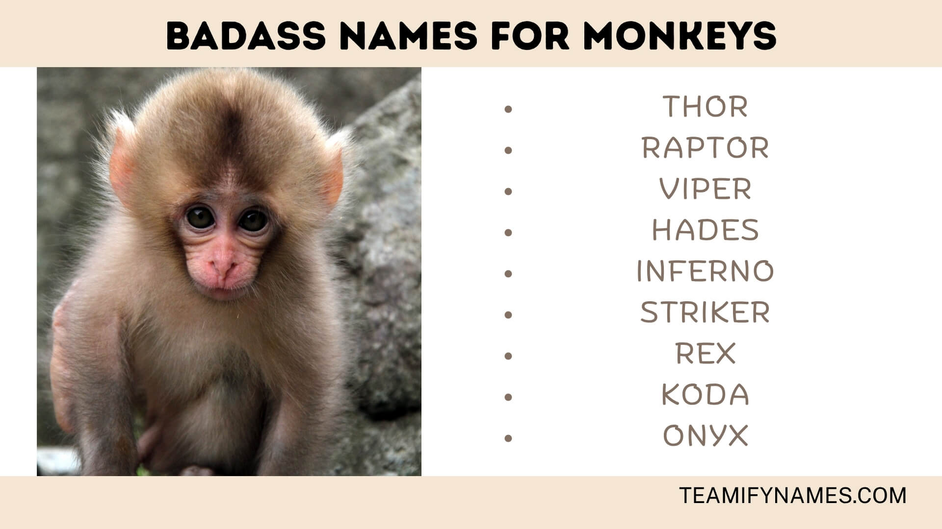 Badass Names For Monkeys