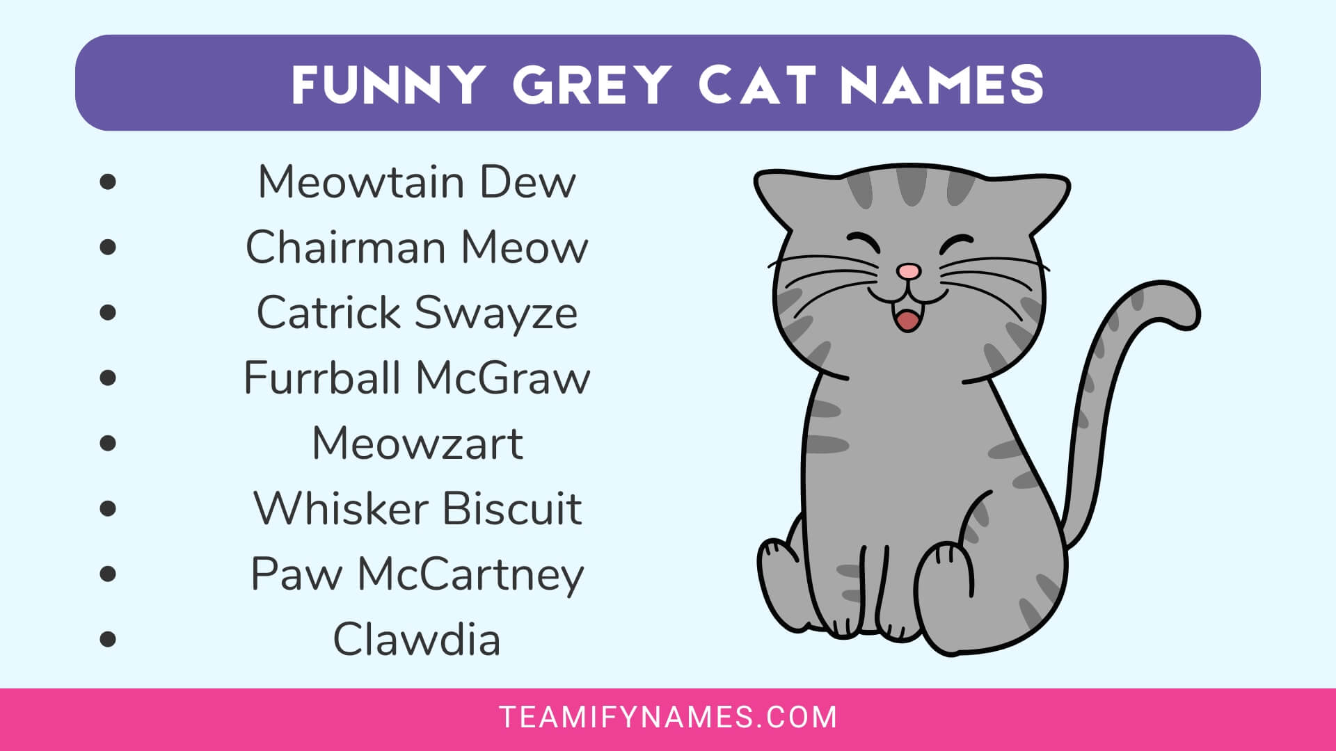 Funny Grey Cat Names