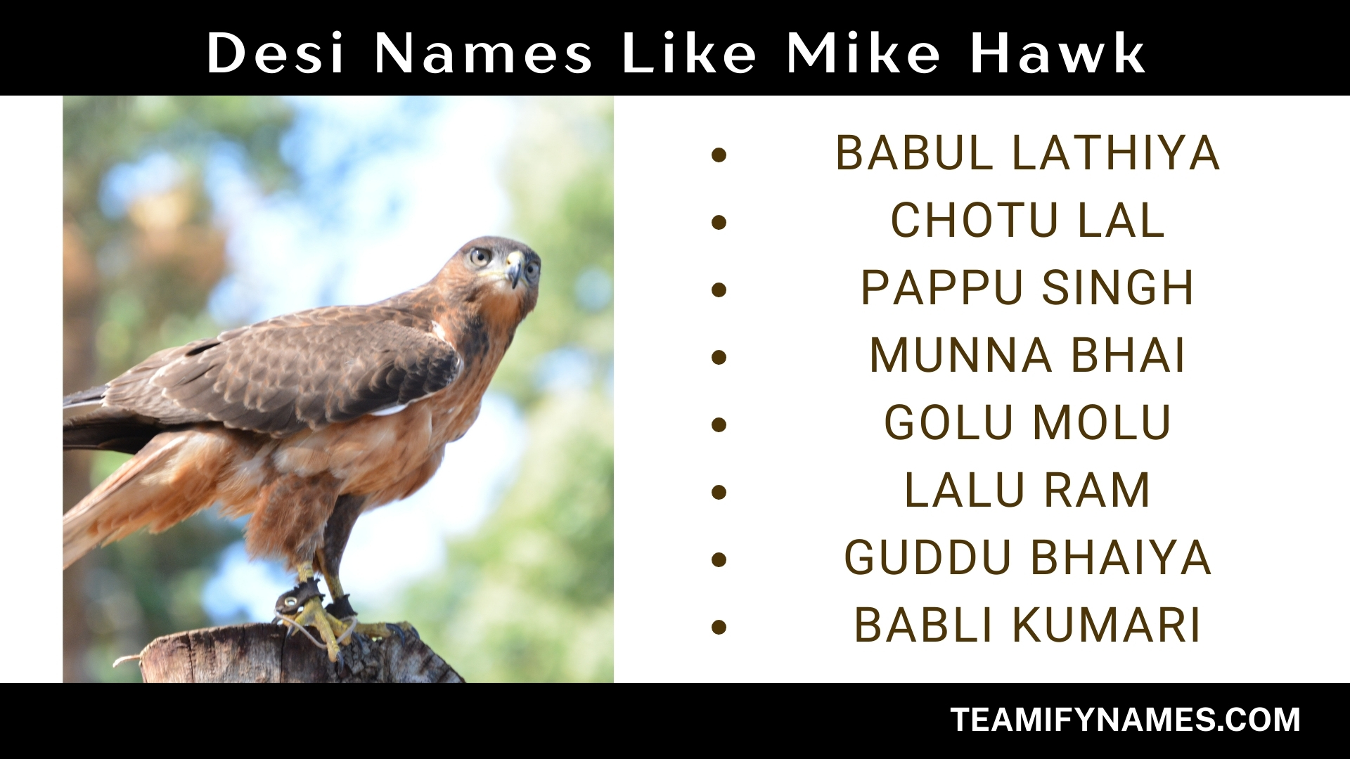 Desi Names Like Mike Hawk