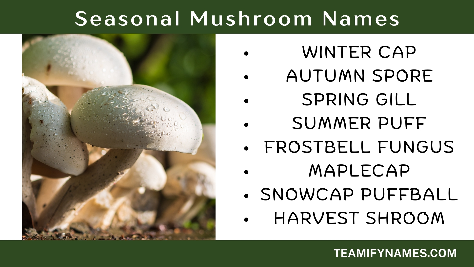 Seasonal Mushroom Names
