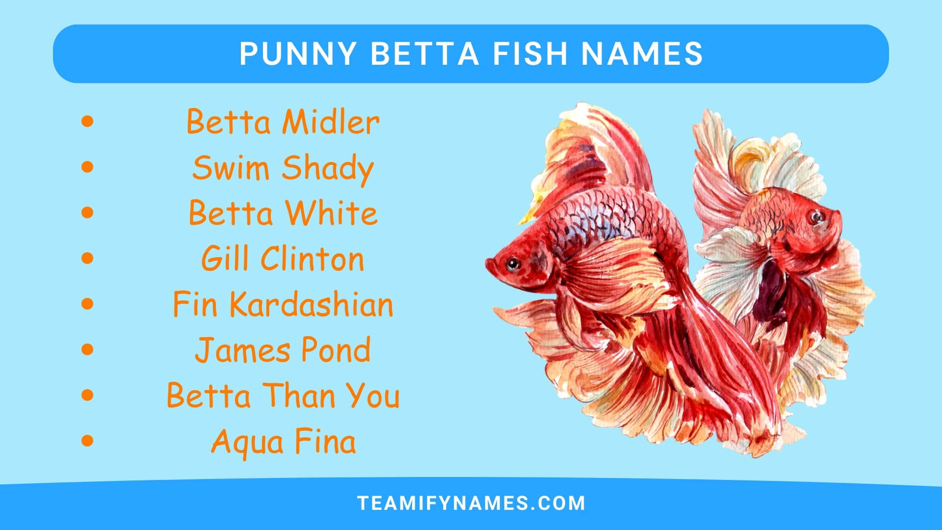 Punny Betta Fish Names