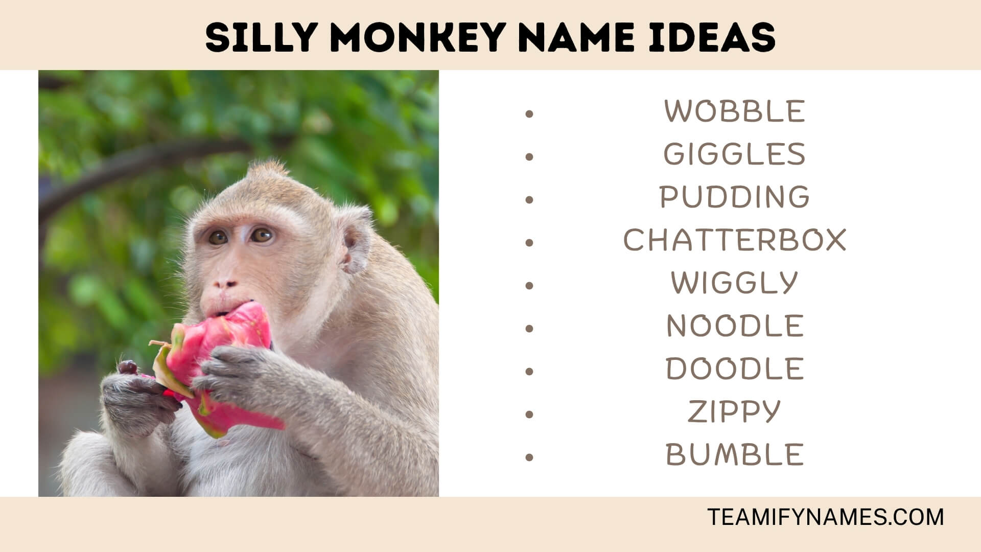 Silly Monkey Name Ideas