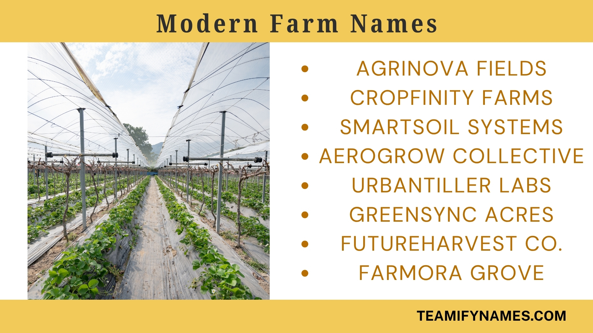 Modern Farm Names