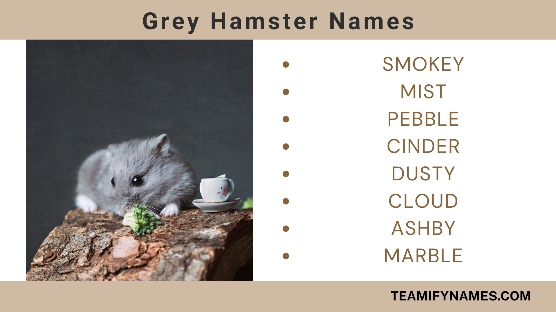 Grey Hamster Names